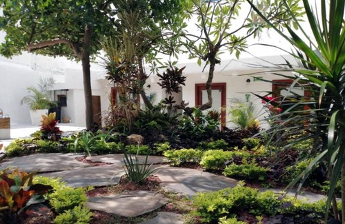 Sayulita Cabin | Amaia Boutique Hotel - Economy Double Room