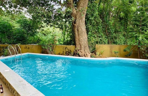 Oxel Villa | Amarelo Goa