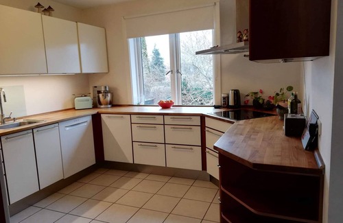 Herlev Villa | Amazing big house with a garden, for the large Family.