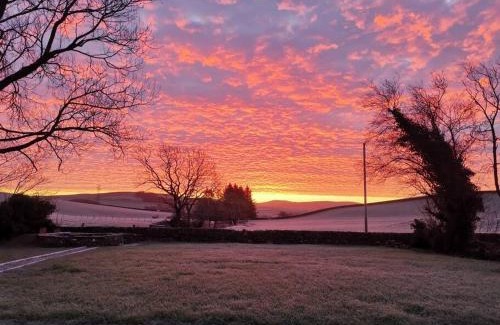 Dumfries Apartment | Amazing Cottage & detached Annex sleeps 8, Extra Deep Hot tub, Super Fast wifi, New for 2024 is the addition of Wood Fired Sauna