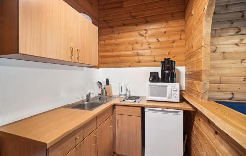 Benneckenstein House | Amazing Home In Oberharz With Kitchen
