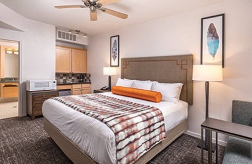 South Scottsdale Resort | Amazing resort and surrounding natural beauty !