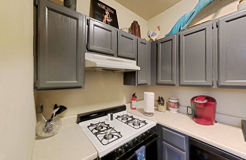 Downtown St. Louis Apartment | Amazon Alexa enabled apartment one Block from Lafayette Park