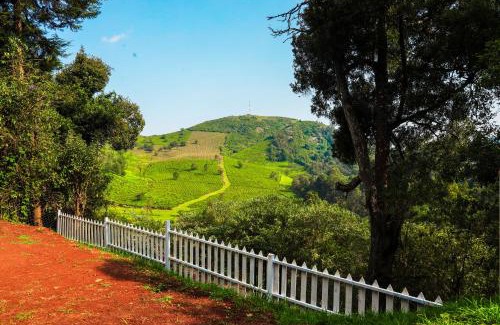 Ooty Bed & Breakfast | Amber by The Tamarillo
