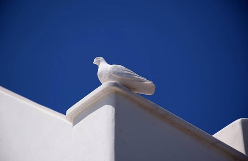 Panormos Apartment | Amberi, Tinos in Panormos