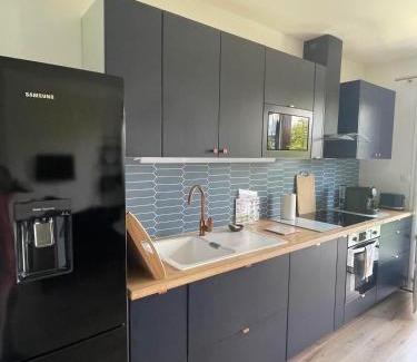 Thomery Apartment | Ambiance Seine, appartement surplombant la Seine -51 M2, Anémone-