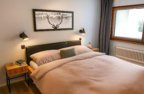 Leukerbad Apartment | Ambiente Appartement C2 - moderne Ferienwohnung mit Terrasse in Leukerbad