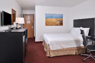 Birch Run Hotel | Americas Best Value Inn & Suites-Birch Run