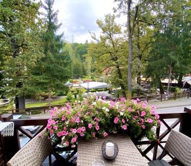 Sovata Bed & Breakfast | Amethyst