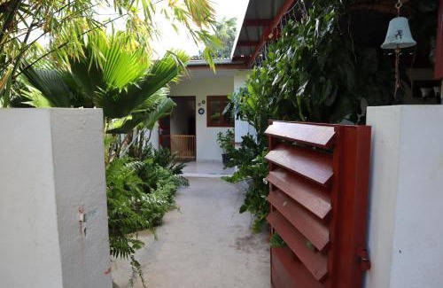 Willemstad Resort | Amigunan Tropical Mini Resort