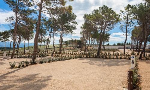 Povljana Other | Aminess Style Camping Avalona Resort - Pitches