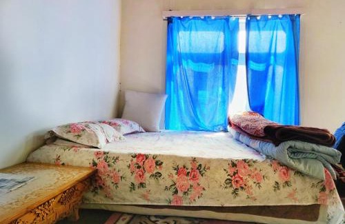 She House | amir homestay