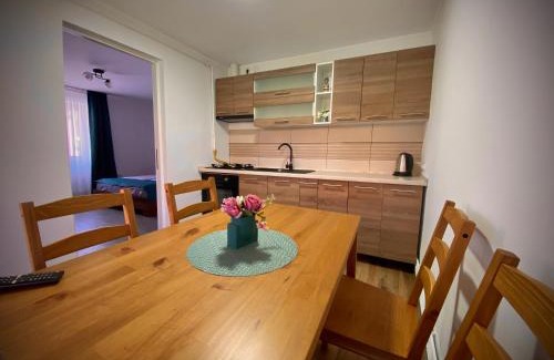 Sighisoara Apartment | AMIS Apartment