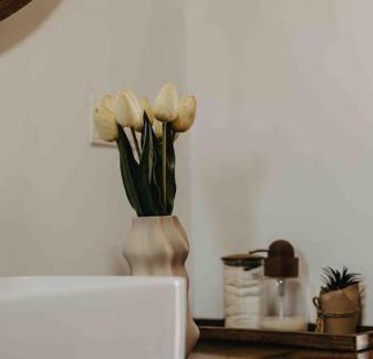 Sangeorz-Bai House | Ammacabin