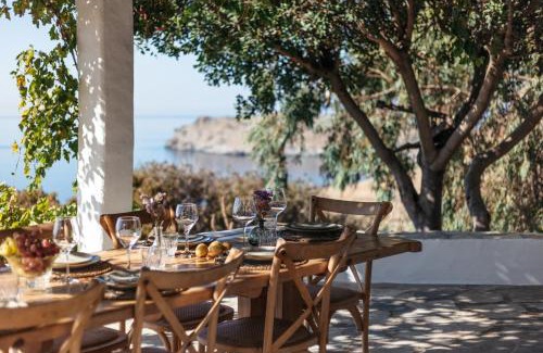 Andros House | Amoni Andros