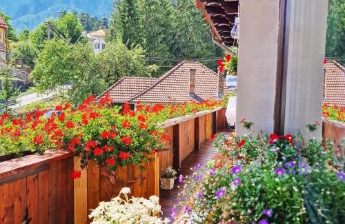 Busteni Apartment | Amor Tirol Bușteni