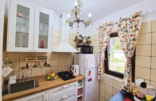 Busteni Apartment | Amor Tirol Bușteni