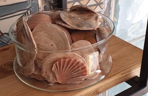 Zelenogradsk Apartment | Amore&МОRЕ