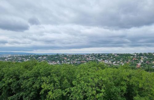 Iasi Apartment | AmurResidence Sauna 5 APARTMENTS free Parking