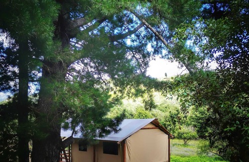 Ucciani Apartment | An unforgettable stay in Corsica - Lodge Alba Scel