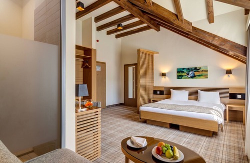 Poiana Brasov Hotel | Ana Hotels Sport Poiana Brasov