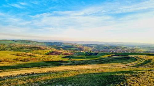 Daia Romana House | Ana House