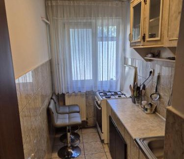 Ramnicu Valcea Apartment | Ana