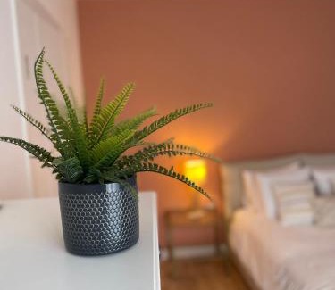 Hagondange Apartment | Anatole Résidence - FRANCE