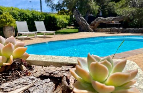 Westcliff House | Anchor's Rest