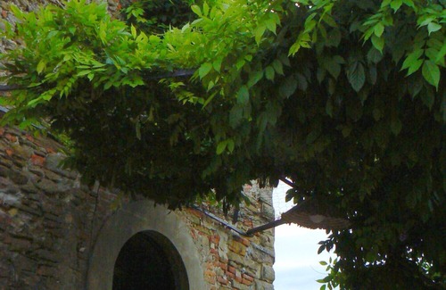 Arezzo Villa | Ancient villa near Arezzo