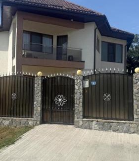 Afumati Villa | Ancuta