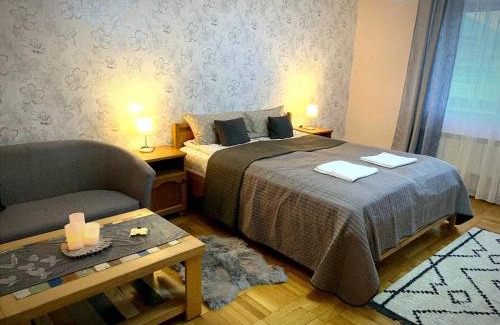 Ghimbav Apartment | Andreea Residence