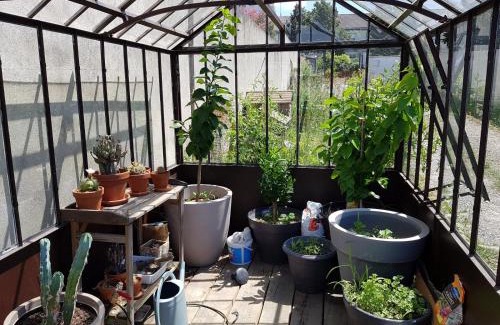 Monplaisir Apartment | Angers Green Lodge - Yellow Sun Appartement