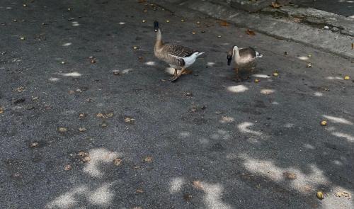 Lien Chieu House | Anhbnb