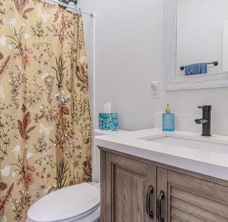 Downtown St. Louis House | Ann Avenue Charming 3 Bedroom Retreat Near Downtown St Louis