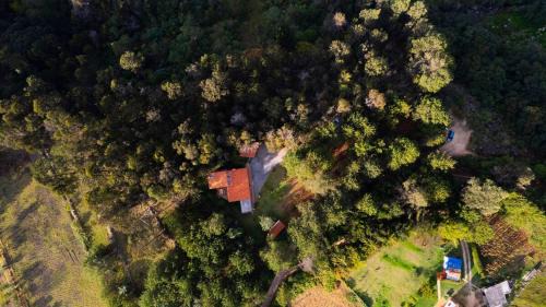 Villa de Leyva Bed & Breakfast | Anna, solo vive