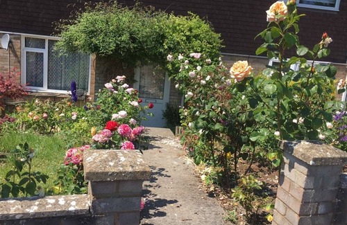 Amesbury House | Annie’s House in Amesbury