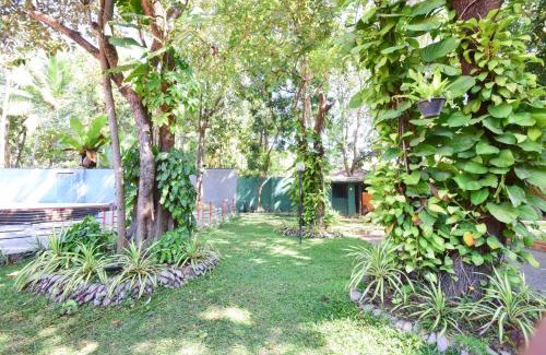 Dambulla House | Anon Rest