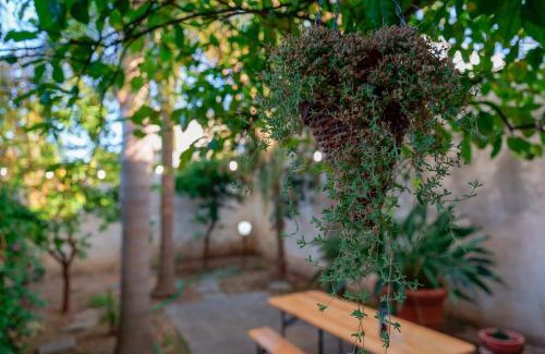 San Pietro Vernotico Bed & Breakfast | Antico Frantoio Cairoli B&B Exclusive Room