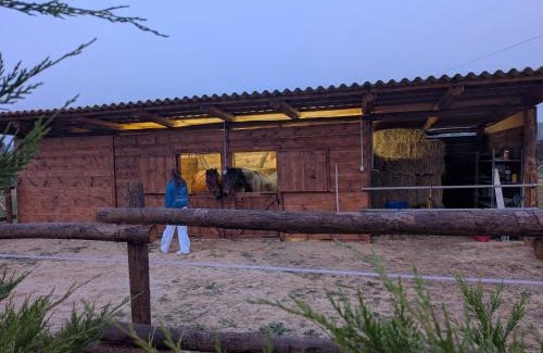 Castell'Alfero Apartment | Anticopodere