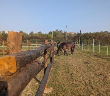 Castell'Alfero Apartment | Anticopodere