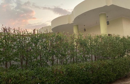 Luxor Apartment | Anubis Guest house