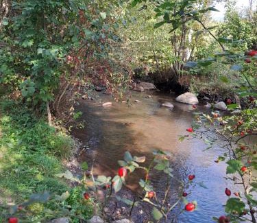 Suseni Ski Chalet | Any Kulcsosház