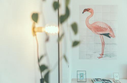 Aalst Apartment | AP8 city & park apartement