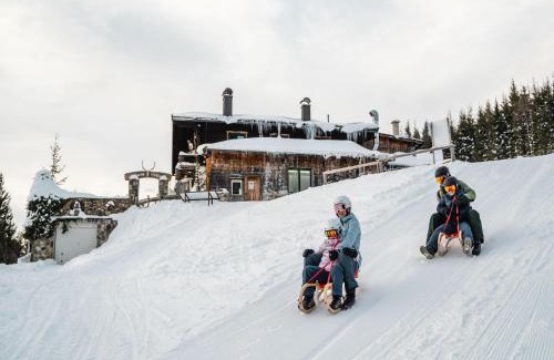 Saalfelden am Steinernen Meer Apartment | Apartment in Saalfelden near Ski Slopes