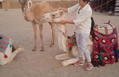El Quseir Other | Apadi camp