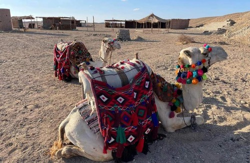 El Quseir Other | Apadi camp