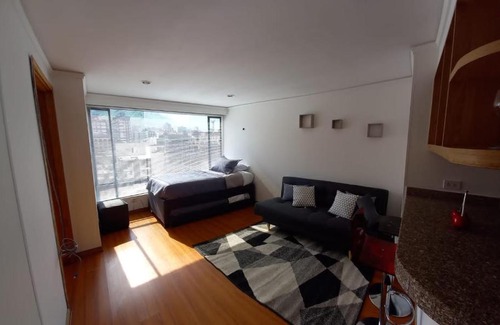 Zona Rosa Apartment | Aparment Suite Paseos del Lago