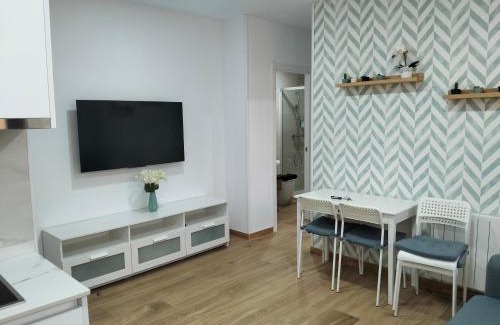 San Vicente de la Barquera Apartment | Apartamento Felisa B