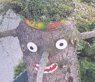 Rabka Apartment | Apartamencik Pod Krokusem